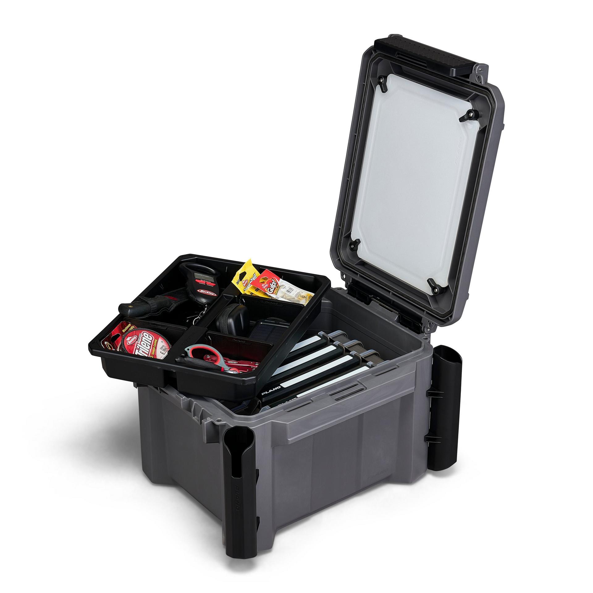 dual fish box GoNow 30L Freshwater Fish Kit