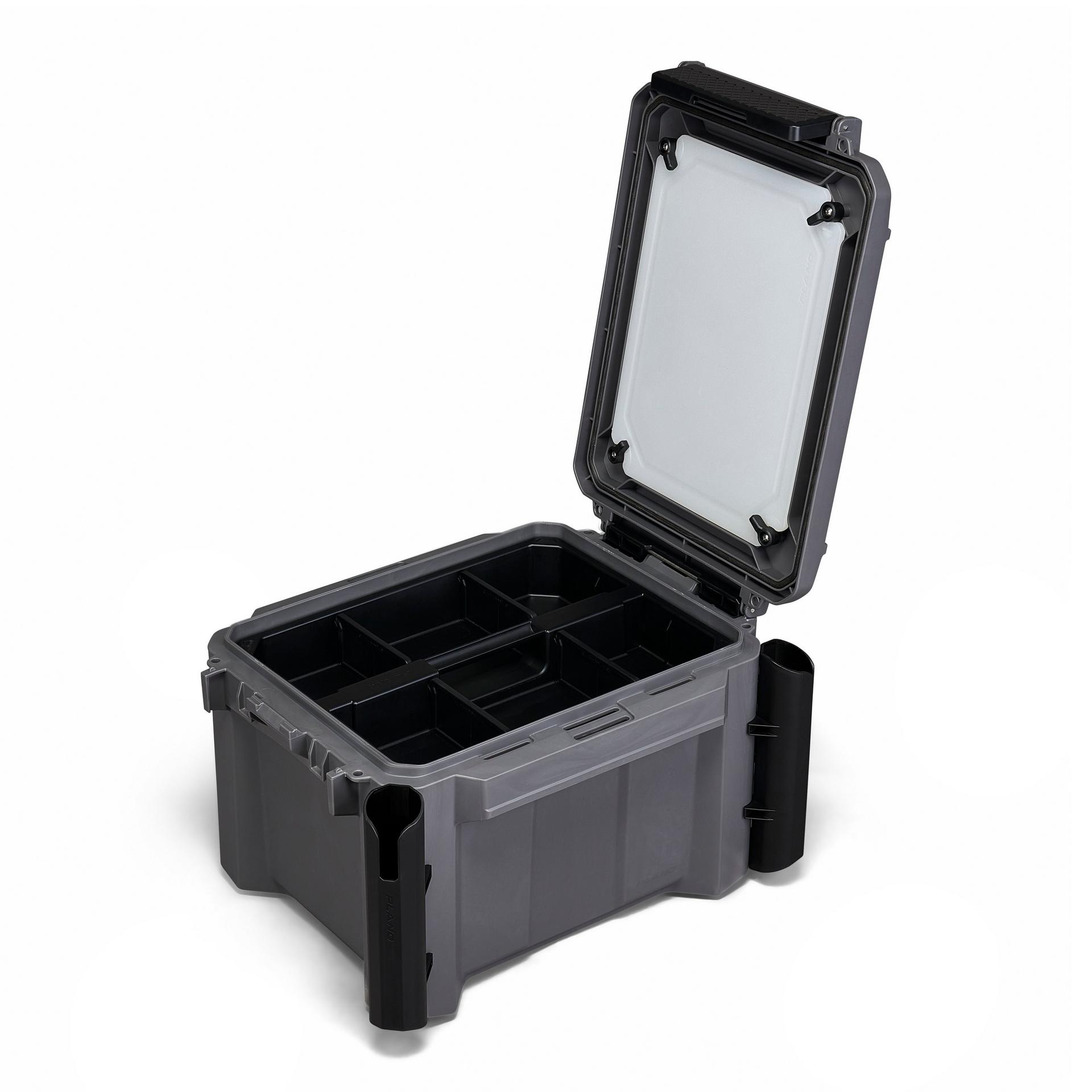 GoNow™ 30L Freshwater Fish Kit